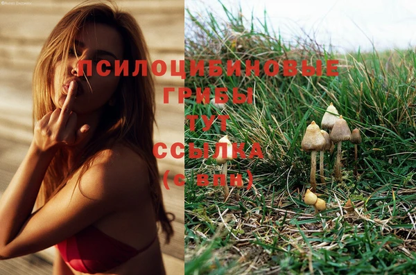 mdma Вязники