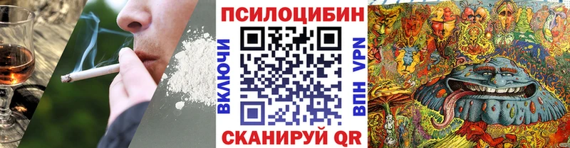 Купить где  Снежногорск  Псилоцибиновые грибы MAGIC MUSHROOMS 